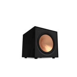 KLIPSCH R-101SW