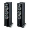 FOCAL THEVA N2