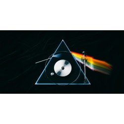 Pro-Ject | The Dark Side of The Moon