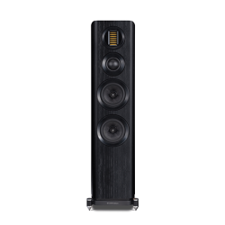 WHARFEDALE EVO 4.3