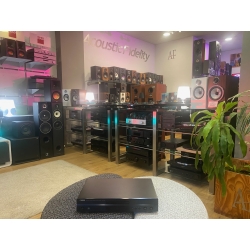 YAMAHA CDX-397
