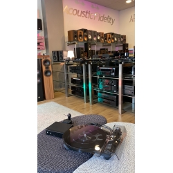 Rega Planar P8 + Testina ANIA