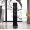 ACOUSTIC ENERGY AE120 MK2