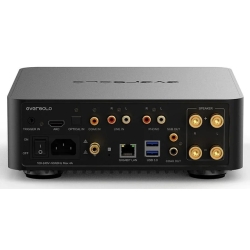EverSolo PLAY - Amplificatore All-in-One