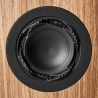 Radiant Acoustics Clarity 4.2